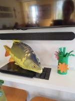 img20260422wa0004.jpg