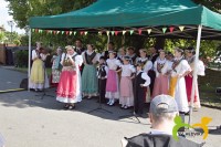 img_3384.jpg